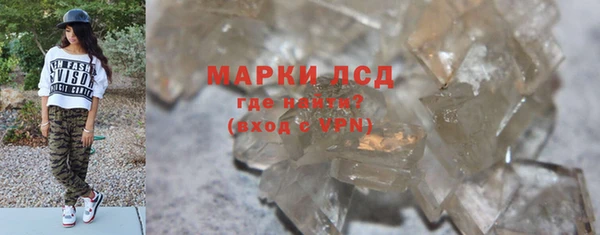 PSILOCYBIN Алзамай