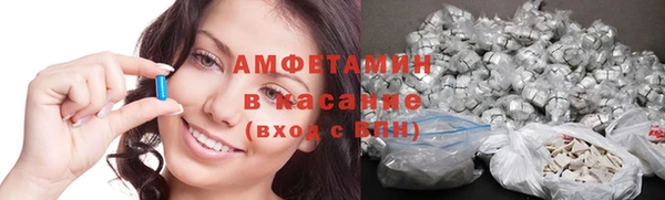 PSILOCYBIN Алзамай