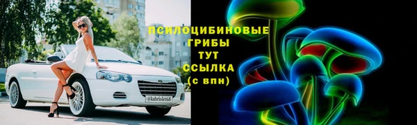 PSILOCYBIN Алзамай