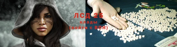 сатива Алексин