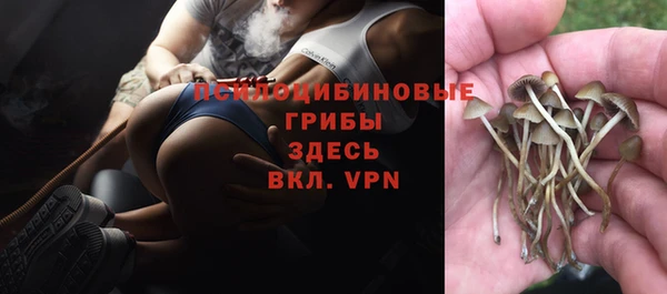 сатива Алексин