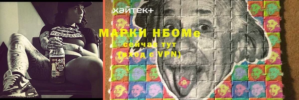 PSILOCYBIN Алзамай