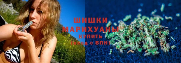 PSILOCYBIN Алзамай