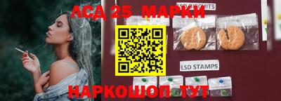 стафф Обь
