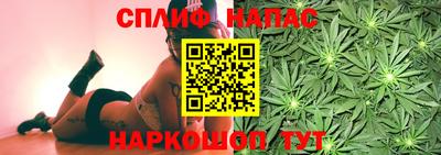 стафф Обь