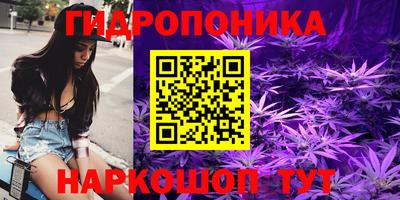 стафф Обь