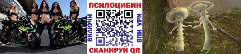 купить наркоту  Карабулак  Псилоцибиновые грибы Psilocybine cubensis 