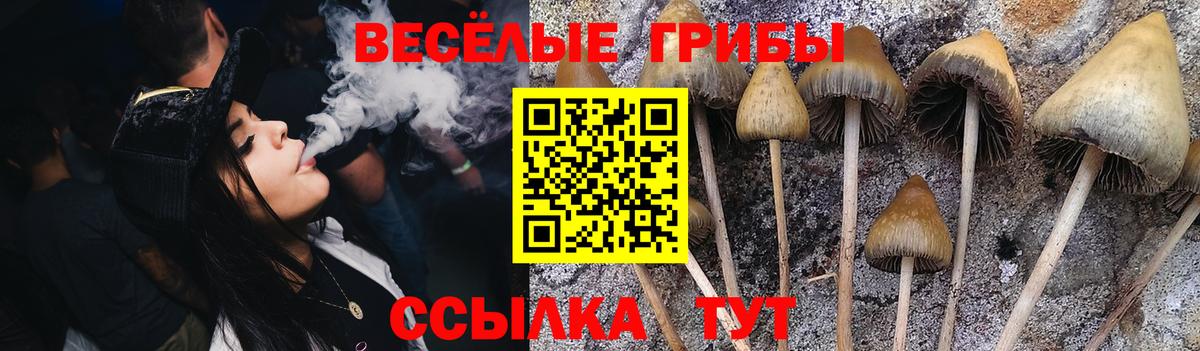Галлюциногенные грибы ЛСД Карабулак