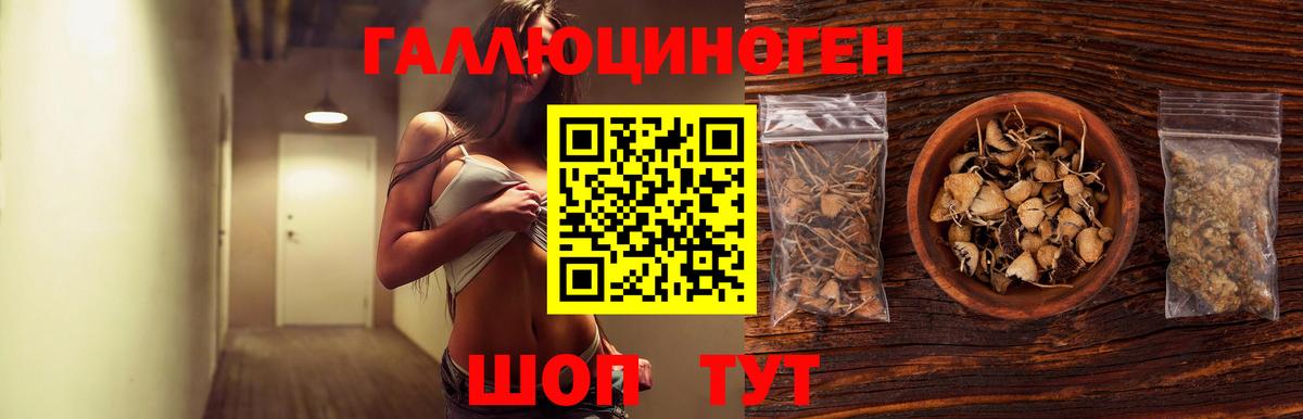 Галлюциногенные грибы Psilocybe  Псилоцибиновые грибы Psilocybe  Вход с VPN  Карабулак 